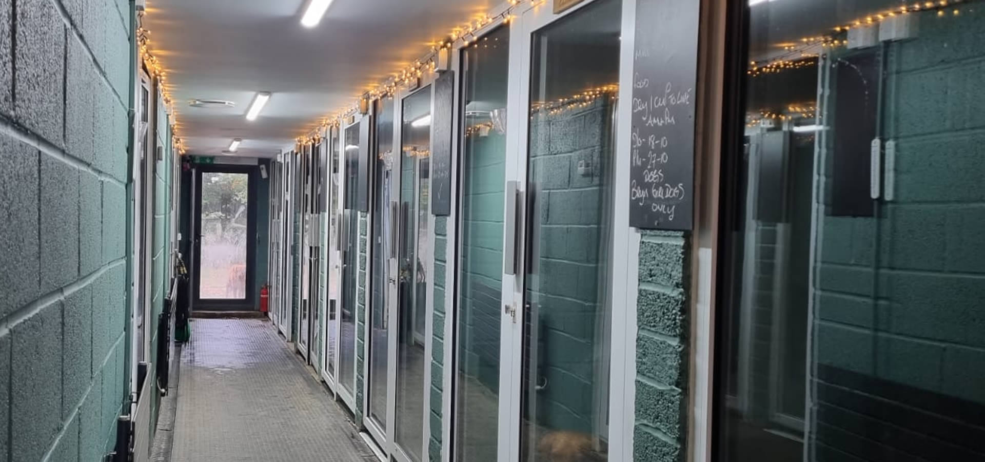 Lanelli Dog Kennels