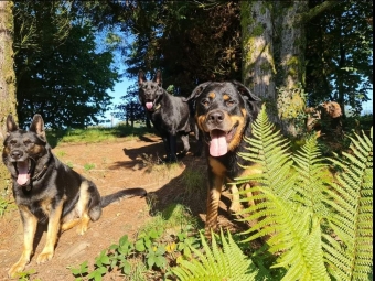 On thier holidays