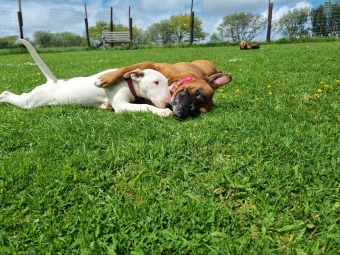 Making new friends