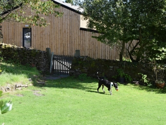 Our luxury dog lodge